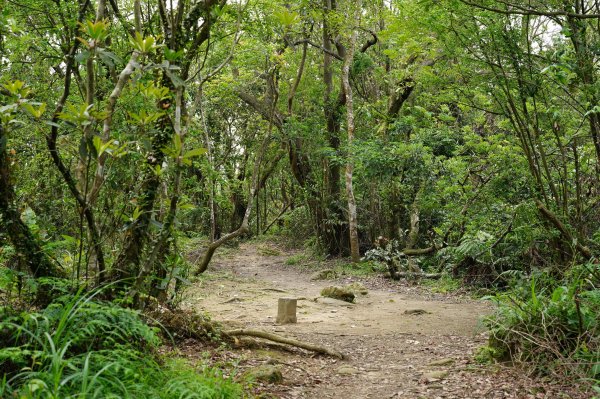 臺北 文山 指南山、猴山岳、魚衡山、大前坑山、猴山坑山、祥光寺後山、金頭山2774980