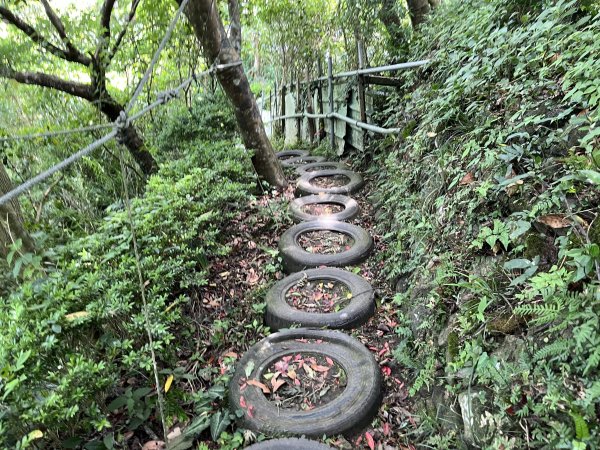 [2024觀音觀鷹尋寶任務-5/7] 2024_0511 觀音山、尖山(占山)登山步道2502070