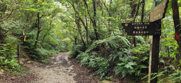 阿哲/小黑3031512