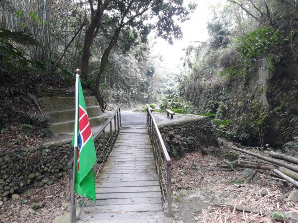 雲林林內龍過脈森林步道20190323550620