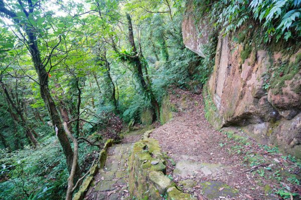 淡蘭山徑-金字碑古道1062850