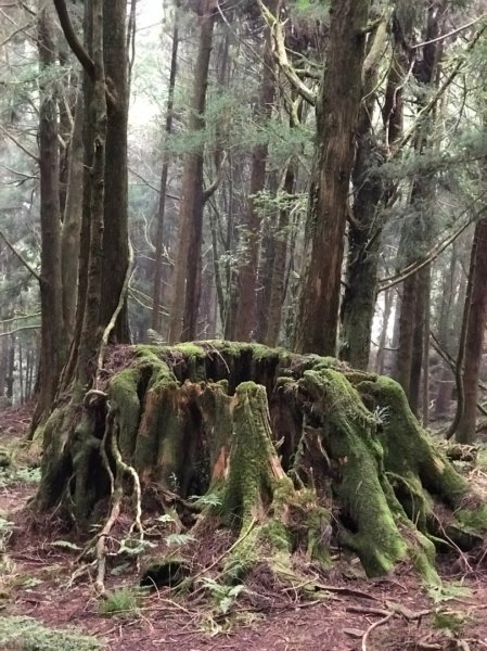 特富野-兒玉山-東水山1076031