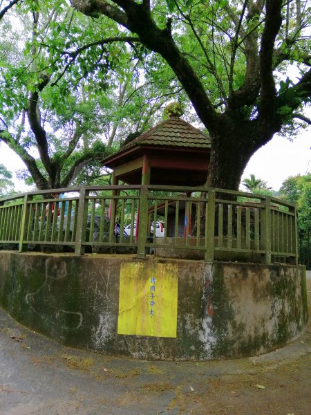 台南白河~台南第一高峰。 關仔嶺大凍山917805