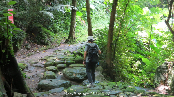 《新竹》青青石階｜娥眉藤坪步道及萬佛庵步道