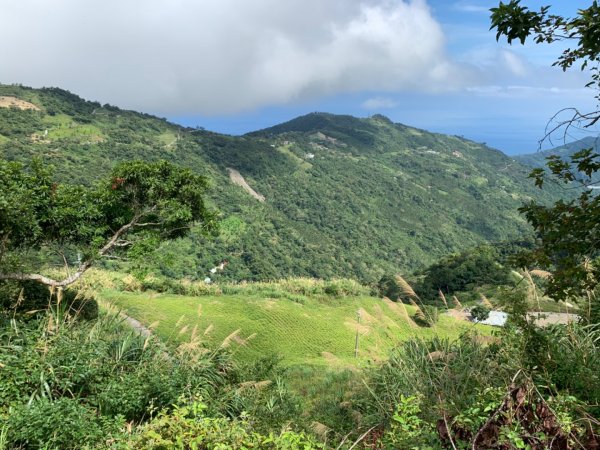 台東太麻里山（小百岳）1062480