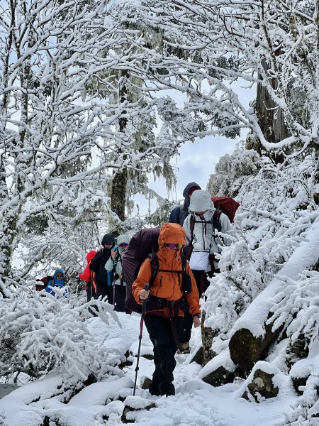 ❄️ 雪山踏雪尋長鬃山羊 2024/1/22-242417604