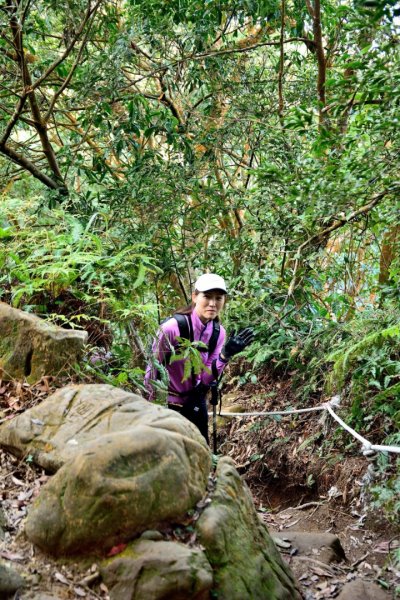 仙山登山步道503226