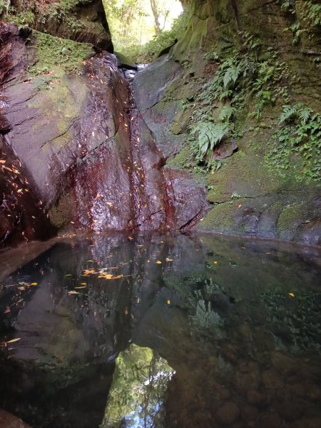 平溪區石古井古道(新路徑)+青林山+盤山坑古道O型2893256