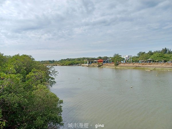 【新竹新豐】台灣唯一建有觀賞步道的生態保護區。 新豐紅樹林生態保護區2381825