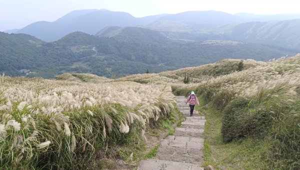 (姨婆趴趴走)第二十六集:攀登台北第一高峰七星山2321118