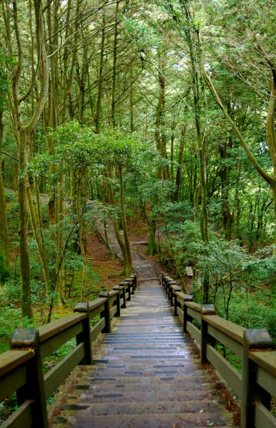 檜山巨木森林步道481573