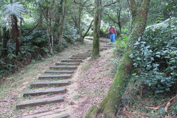 姜子寮山步道225177