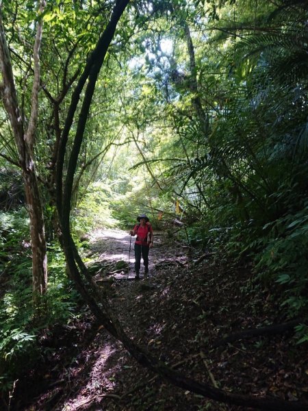 畝畝山、青林山、石古井、石硿子瀑布、石硿子古道O走1492833