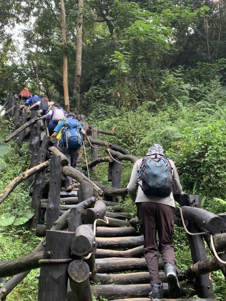 20251108台中頭嵙山-二嵙山2933357