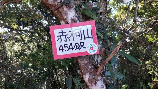 關西太元宮-赤柯山-赤柯山南峰-東獅頭山O型1977830