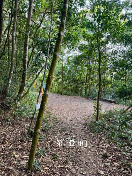 六龜警備道茂林段：網子山-網子山東北峰-鳴海下山-鳴海山(小百岳#71)2981454