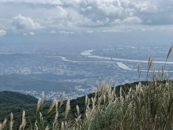 二子坪—面天山—向天山—清天宮2331900