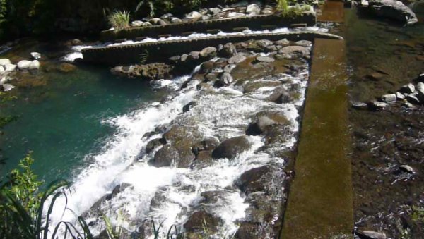 山林美境：滿月圓國家森林遊樂區處女瀑布1116104