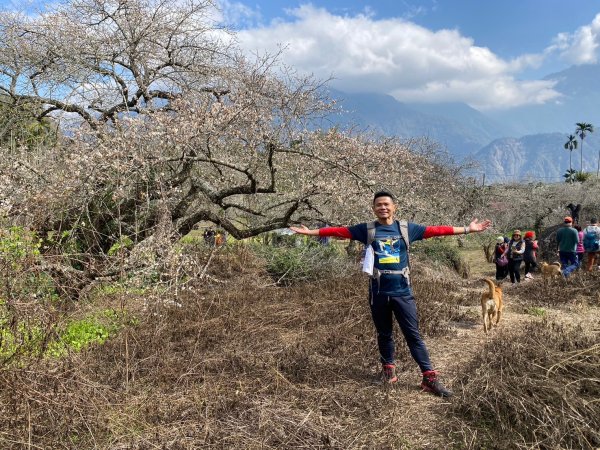 風櫃斗.牛稠坑.二坪山古道【遙知不是雪，為有暗香來】2703878
