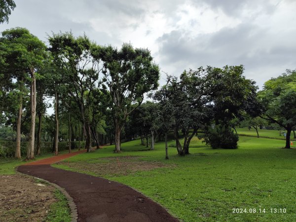 大安森林公園、瑞陽公園、大港墘公園、宏匯瑞光廣場【走路趣尋寶】【臺北健走趣】2574708