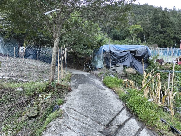 [玉山尋寶任務-07/12] 2025_0824 八通關雲龍瀑布步道2870433