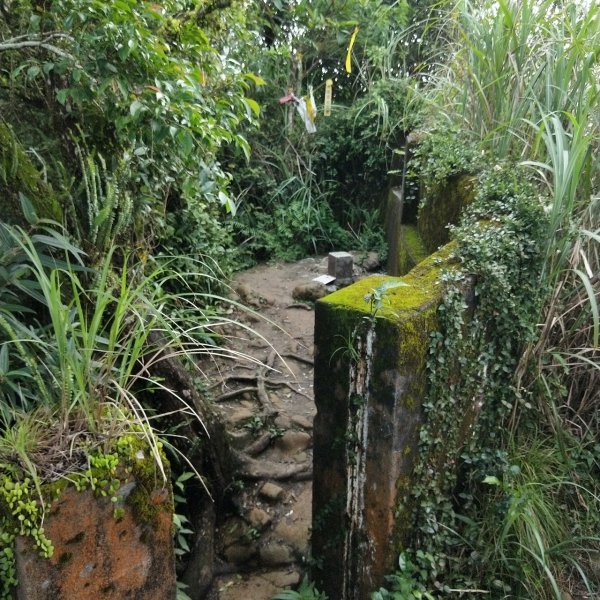 二格山登山步道(栳寮線)封面