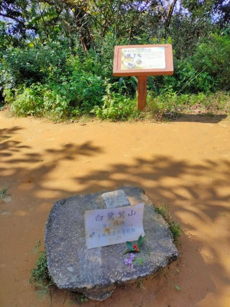 內湖o形4連峰（白鷺鷥山+鯉魚山東峰+鯉魚山+忠勇山）（2/13）2429594