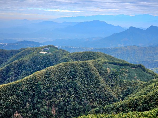 大崙山銀杏森林2966078