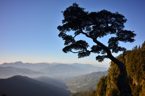 1110408武陵二秀~桃山-喀拉頁山二日行1706850