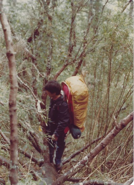 南湖群峰及中央尖山(民國72年)716216