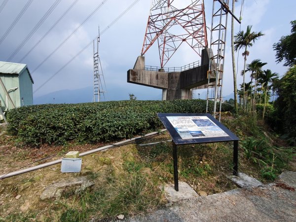 【雲嘉】後棟山連走大二尖山1478516