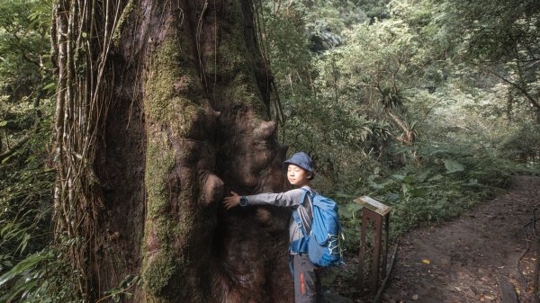 馬胎古道 （馬胎一期、南坪古道、內灣老街）3073784