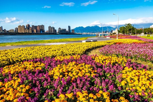 【賞花】假期賞花衝一波 台北市絕美花海大推薦