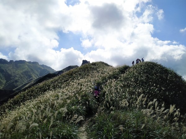 茶壺山賞芒,煙囪稜看海1186595