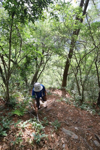 2018/06/09 屋東縱走498285