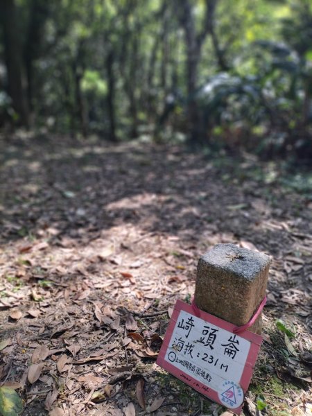 北宜路-崎頭崙山-六分山-肆方巖-楣子寮溪-銀河洞O型走2139123