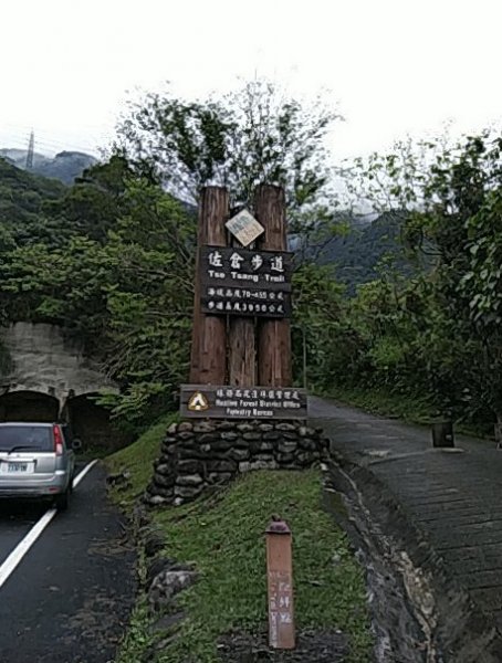 佐倉步道537874