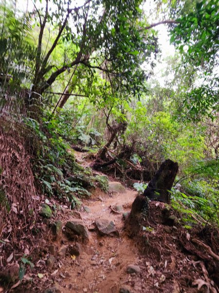 小百岳集起來-石牛山2183130