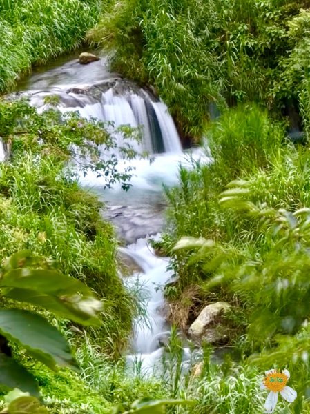 大雪山林道橫流溪 出雲山 分桂林山