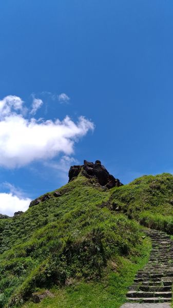 燦光寮山、黃金三稜141642