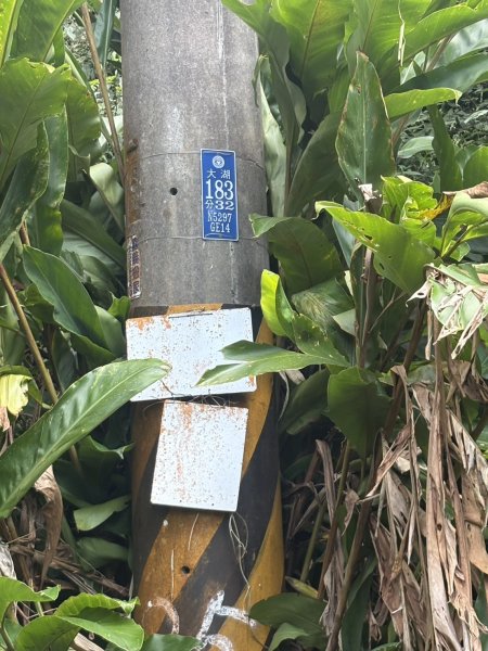 20251122大湖尖山步道(啟登直上第三涼亭)2944504