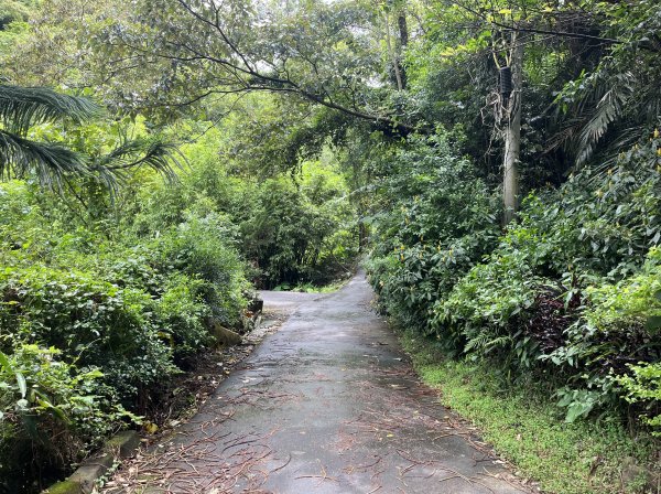 [微笑山線_第三段] 2025_0720 鳶山山系_鳶尾山2843633