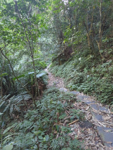 2025.11.15－鳴鳳古道2942990