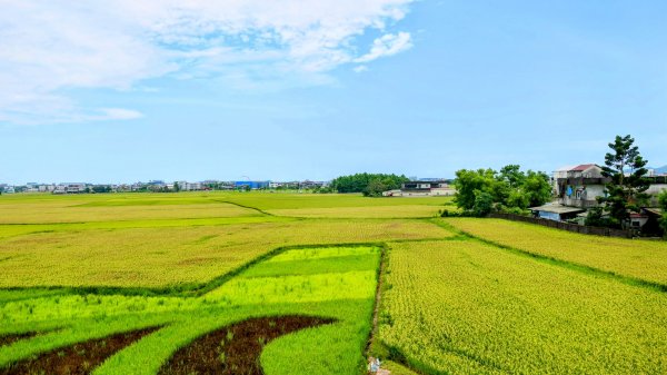 三奇美徑,52甲溼地2813339