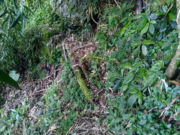 嚼嚼斯古道，嚼嚼斯部落遺址，鱉頭山2606064