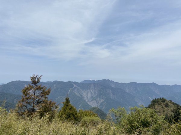 20200418東埔山-東埔大草原1625322