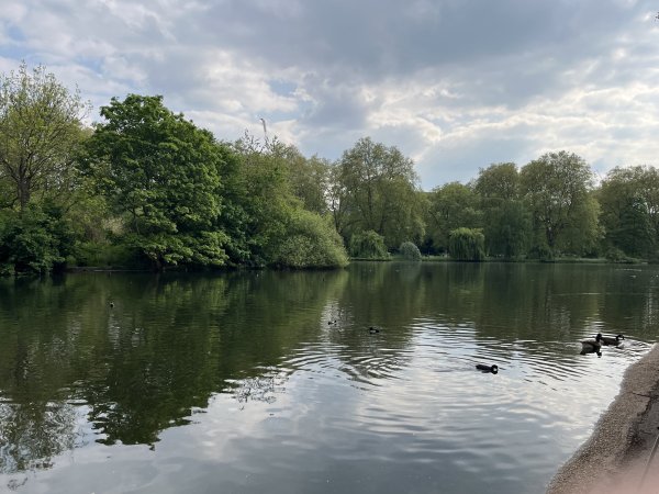 2025_0427 倫敦馬拉松順遊西歐 D9a(起點和終點)2794427