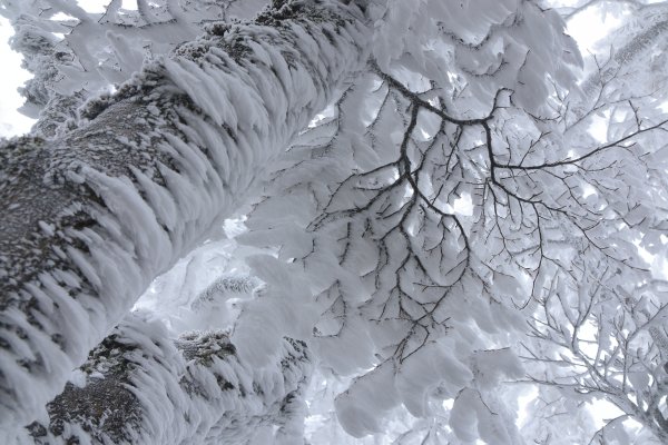  2021 D0101 純色北插1225514