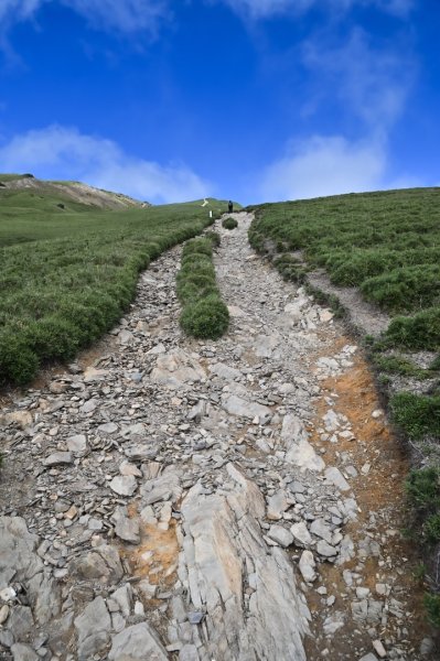 爬不膩的 合歡北峰2907024