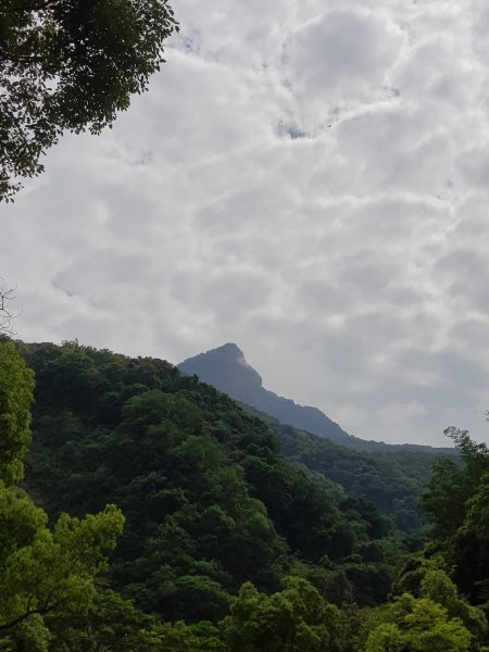 泰安虎山589741